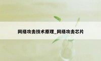 网络攻击技术原理_网络攻击芯片