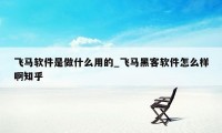 飞马软件是做什么用的_飞马黑客软件怎么样啊知乎