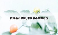 我国最小黑客_中国最小黑客近况