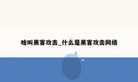 啥叫黑客攻击_什么是黑客攻击网络