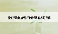 羽毛球操作技巧_羽毛球黑客入门教程