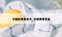 中国的黑客老大_中国黑客首富