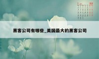 黑客公司有哪些_美国最大的黑客公司