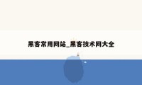 黑客常用网站_黑客技术网大全