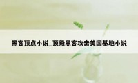 黑客顶点小说_顶级黑客攻击美国基地小说