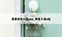 黑客技术入侵app_黑客入侵a站