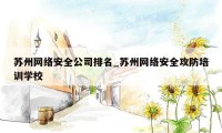 苏州网络安全公司排名_苏州网络安全攻防培训学校