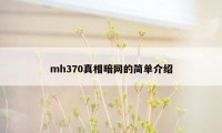 mh370真相暗网的简单介绍