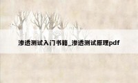 渗透测试入门书籍_渗透测试原理pdf