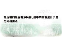 最厉害的黑客有多厉害_最牛的黑客是什么意思网络用语