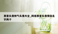 黑客头像帅气头像大全_网络黑客头像情侣名字两个