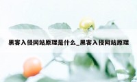 黑客入侵网站原理是什么_黑客入侵网站原理