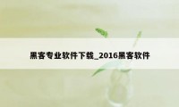 黑客专业软件下载_2016黑客软件