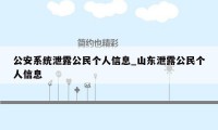 公安系统泄露公民个人信息_山东泄露公民个人信息