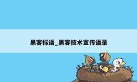 黑客标语_黑客技术宣传语录