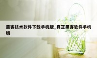 黑客技术软件下载手机版_真正黑客软件手机版