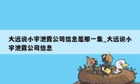 大远说小宇泄露公司信息是那一集_大远说小宇泄露公司信息