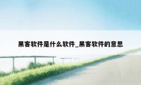 黑客软件是什么软件_黑客软件的意思