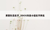 黑客队伍名字_DDOS攻击小组名字网名