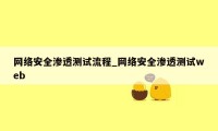 网络安全渗透测试流程_网络安全渗透测试web