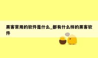 黑客常用的软件是什么_都有什么样的黑客软件