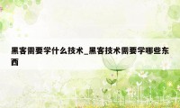 黑客需要学什么技术_黑客技术需要学哪些东西