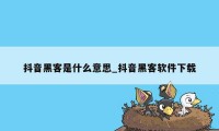 抖音黑客是什么意思_抖音黑客软件下载