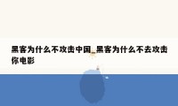 黑客为什么不攻击中国_黑客为什么不去攻击你电影