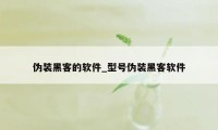 伪装黑客的软件_型号伪装黑客软件